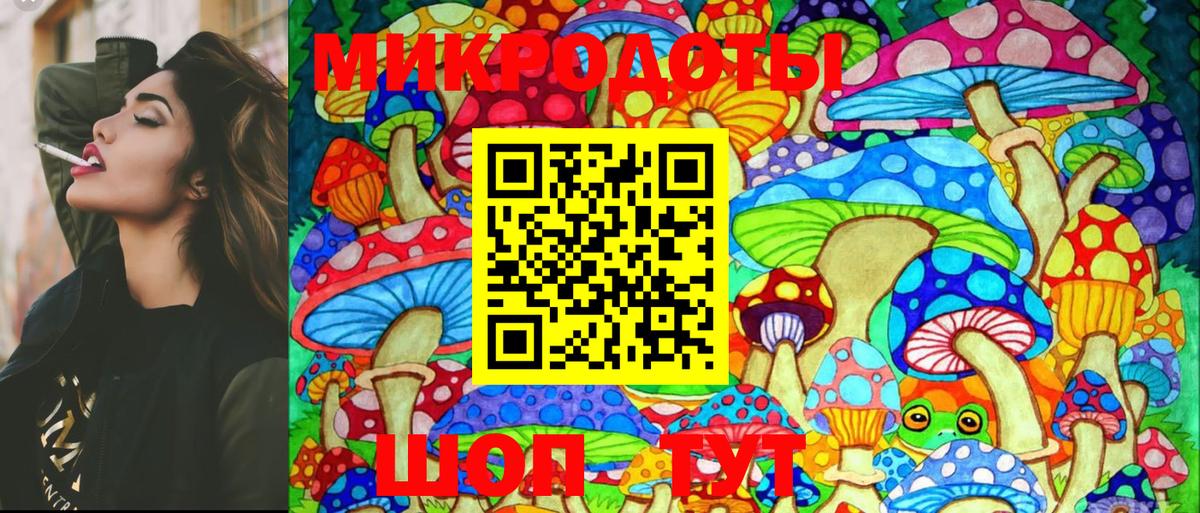 Псилоцибиновые грибы Psilocybe  Вход с VPN  Прокопьевск 