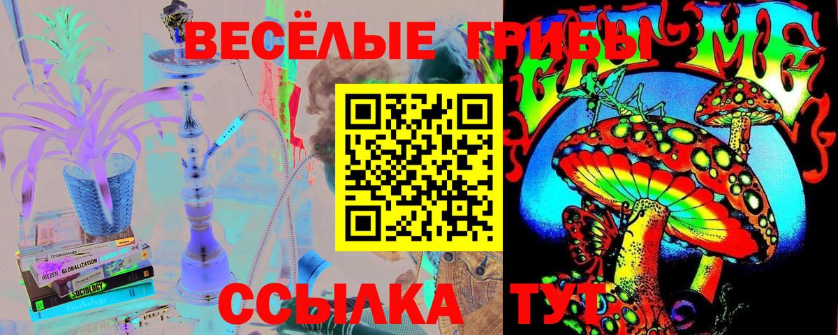 Галлюциногенные грибы GOLDEN TEACHER Прокопьевск