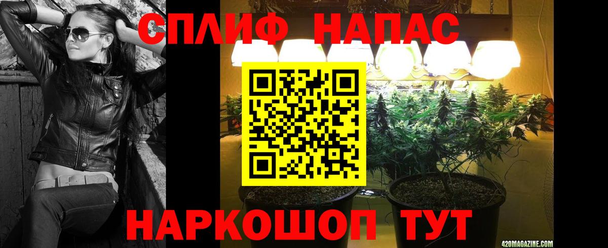 Конопля конопля  Вход с VPN  Бошки Шишки тримм  Бошки марихуана тримм  Канабис OG Kush  Прокопьевск 